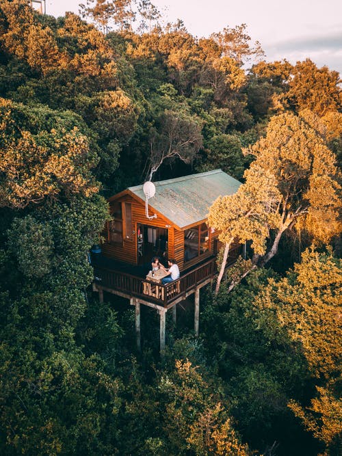 cabane dans les arbres, entourée de verdure et d'arbres