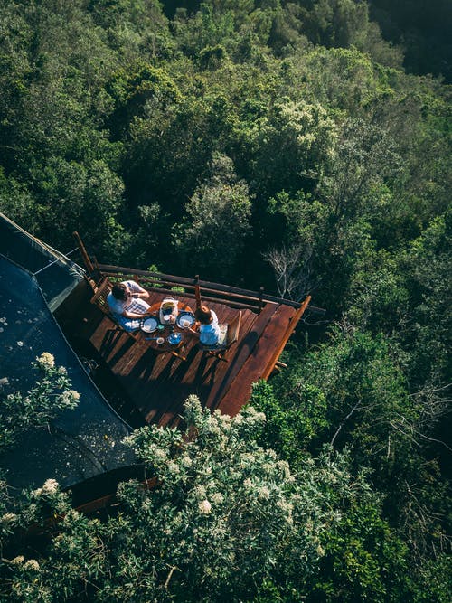 Cabane dans les arbres